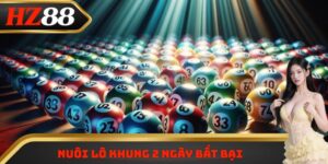 nuôi lô khung 2 ngày bất bại